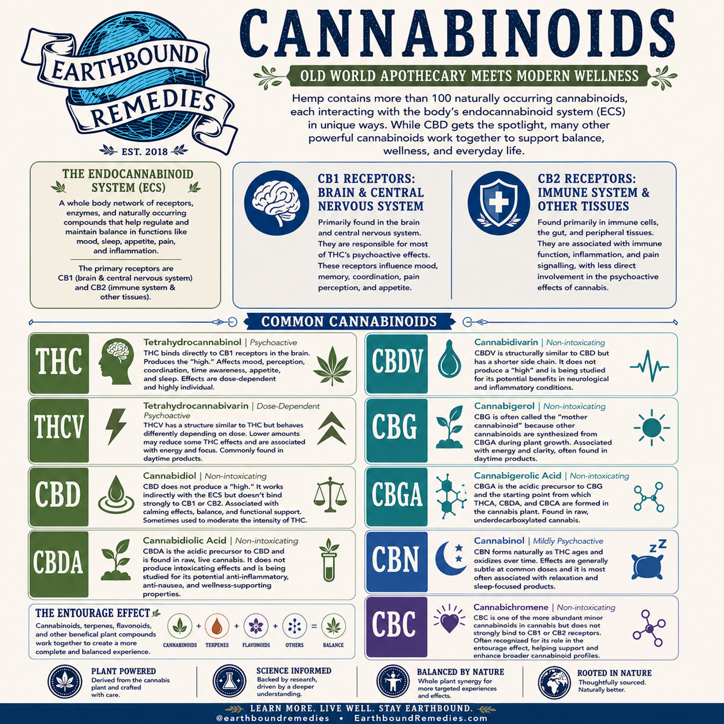 Understanding Cannabinoids: Nature’s Remarkable Compounds